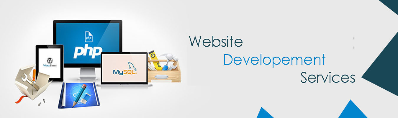 Website Designing Company in North Delhi
